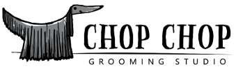 Canvas Logo