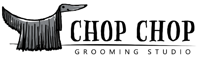 Canvas Logo
